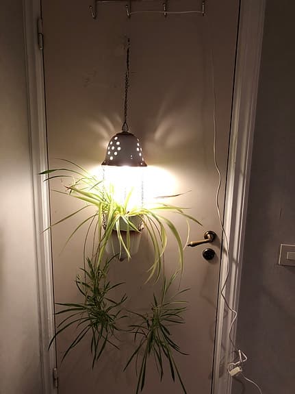 Lampor fönsterampel