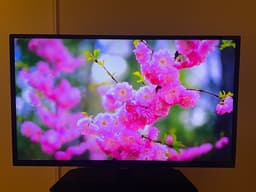 32” Philips