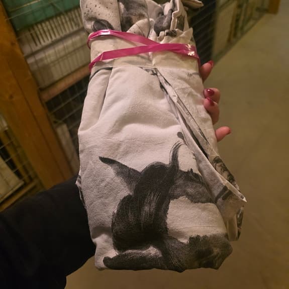 Sängkläder BARN enkelsäng hästmotiv 2delar