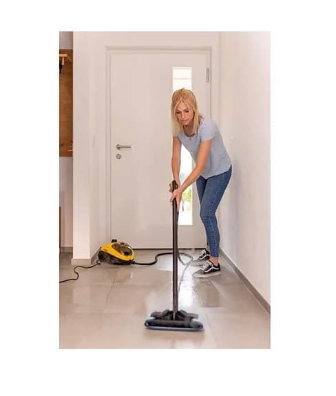 Wagner DTS 5800 power steamer