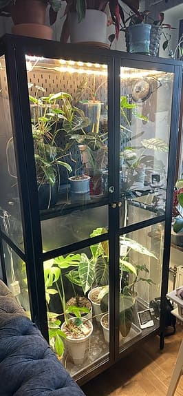 Växthus / växtskåp inomhus svart glas