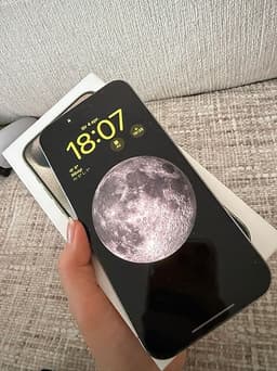 Apple iPhone 15 Pro Max mobiltelefon 256 GB silver