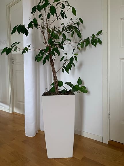 Självvattnande blomkruka vit