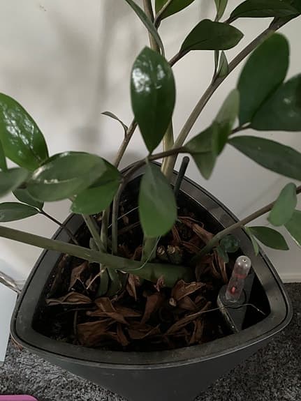 2st Självvattnande blomkrukor