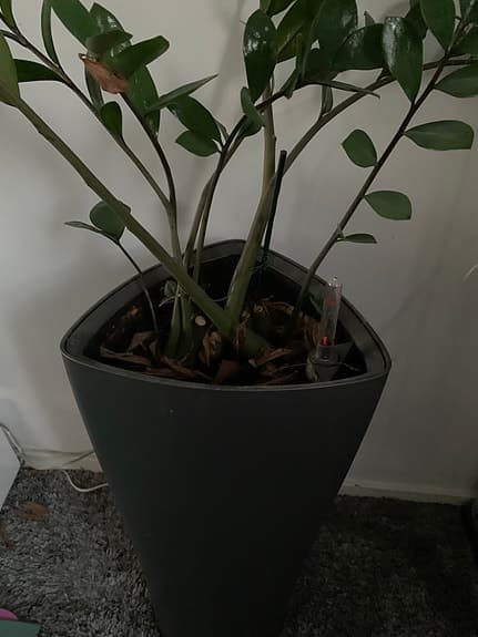 2st Självvattnande blomkrukor