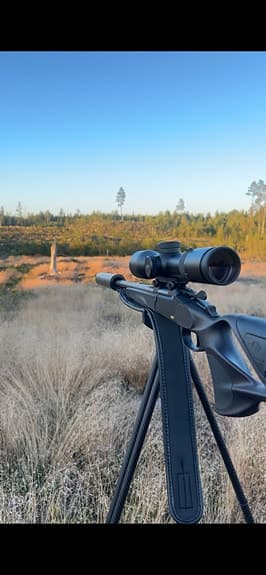 Blaser b2 2-12x50, Ink Blaser skenmontage, ballistiskt torn