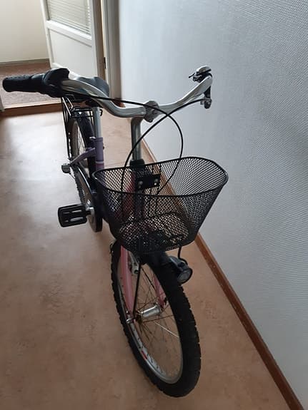 Yosemite 20" Barncykel