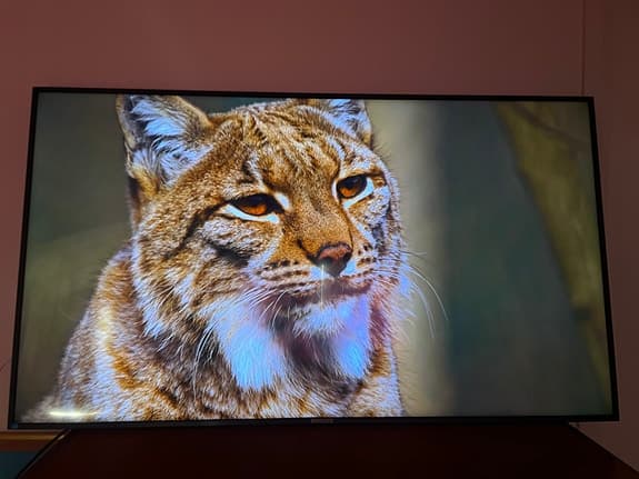 Philips 65" signage 4k