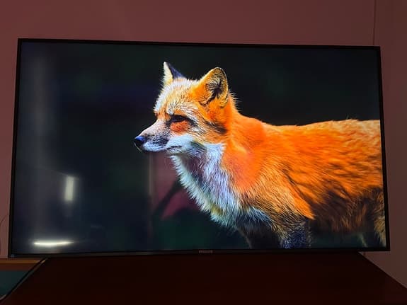 Philips 65" signage 4k