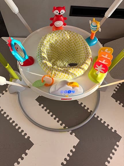 Skip Hop Explore & More Hoppgunga