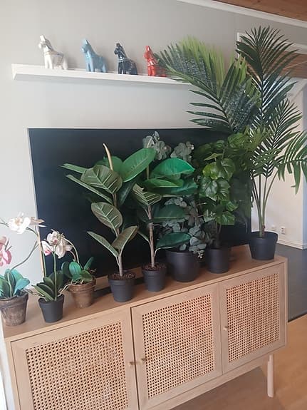 Plastväxter