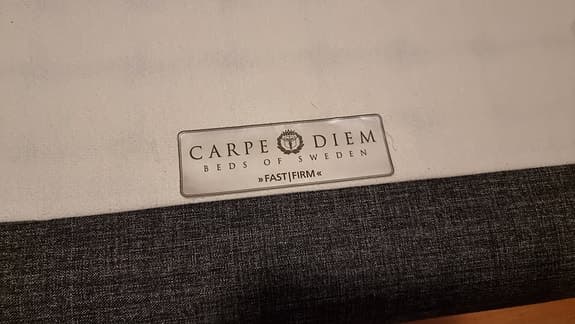 Carpe Diem säng i bra skick