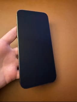 Apple iPhone 13 Pro Max smartphone 256 GB