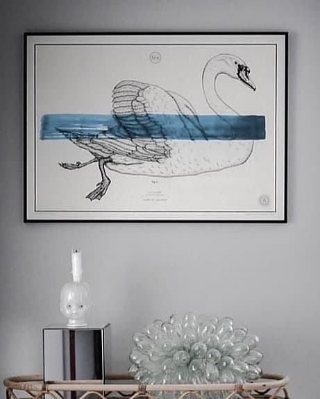 Tavlan, Le Cygne (Svanen) från Artilleriet, 70x50 cm
