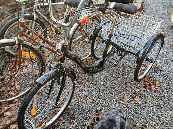 Trehjulig vuxen cykel