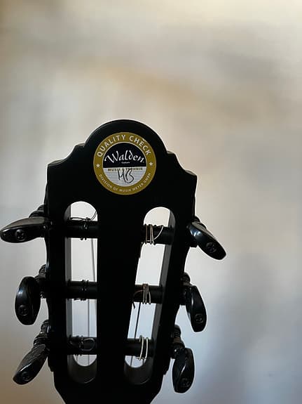 Walden Natura N600CEB-Gothic – elektroakustisk nylonsträngad gitarr