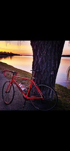 Haibike landsvägscykel 28" unisex ramstorlek L röd