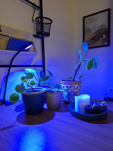 Växtbelysning - Orion Grow Light
