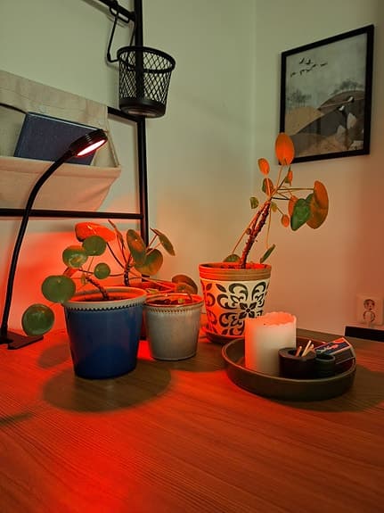 Växtbelysning - Orion Grow Light