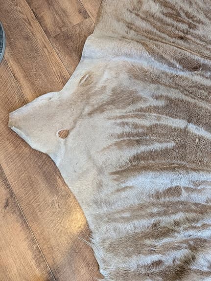 Gnu Skinn - matta eller vägg dekoration