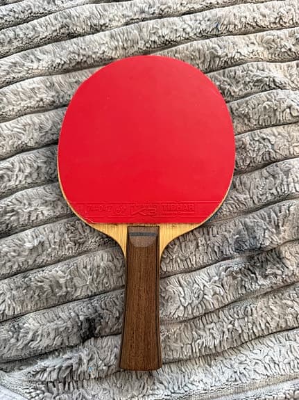 Bordtennisracket Nittaku Ludeack power