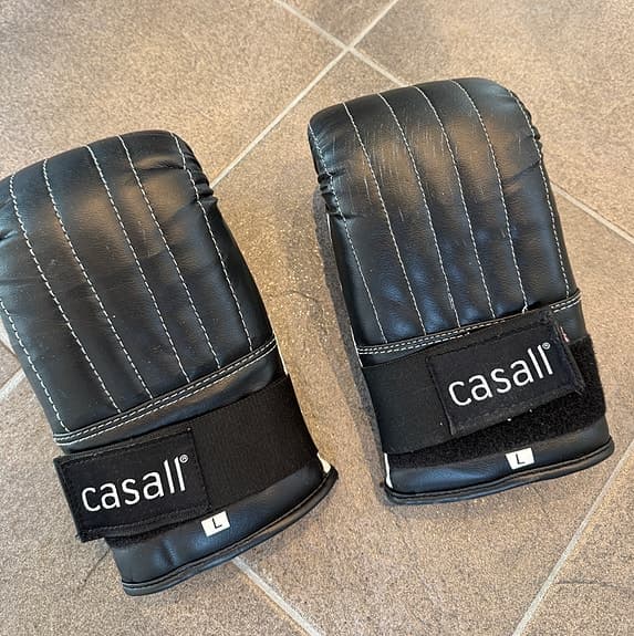 Casall Boxningssäck + handskar (large) i bra skick