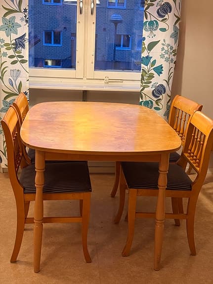 Matgrupp i massiv björk