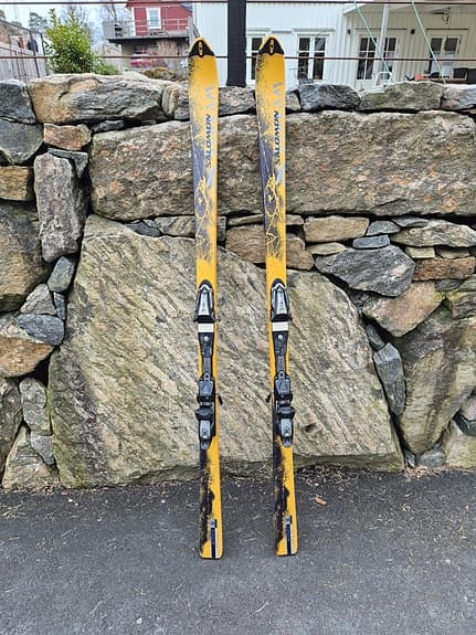 Slalomskidor