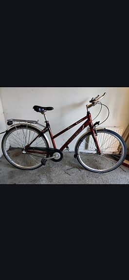 Trek S220