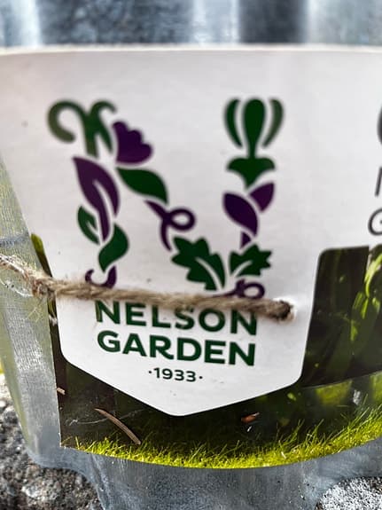 Nelson Garden gräskant galv trädgårdskant 16 cm x 5 m metall