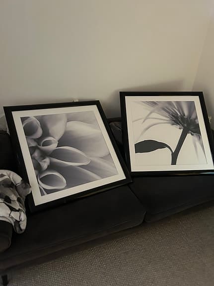 Tavlor av märke Incado (inramade posters) 70*70
