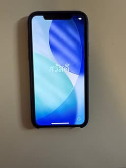 iPhone 11 Pro, 256 GB
