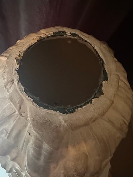 Stor vas torra växter