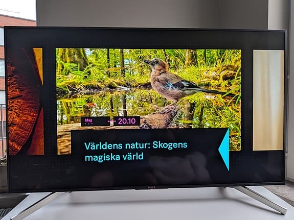 Sony 55” 4K Smart TV – fint skick – inklusive original kvitto & kartong