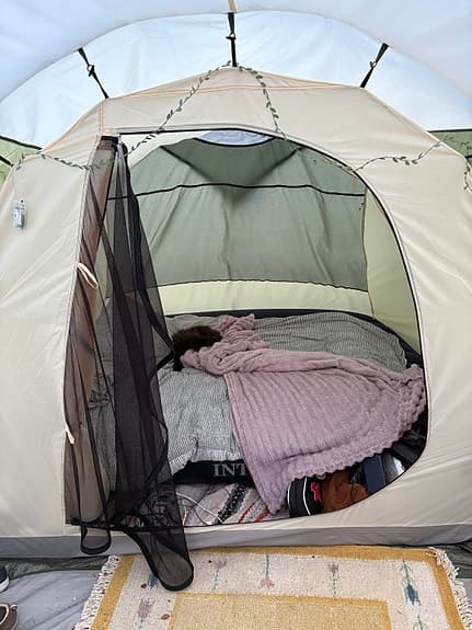 Tält familjetält flerpersons grön/vitt