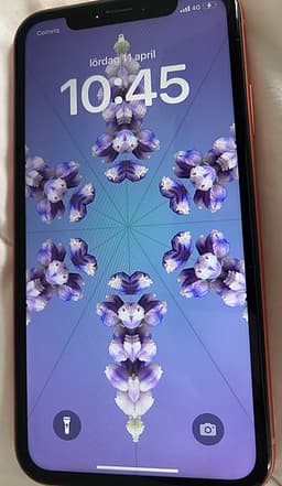 iPhone XR