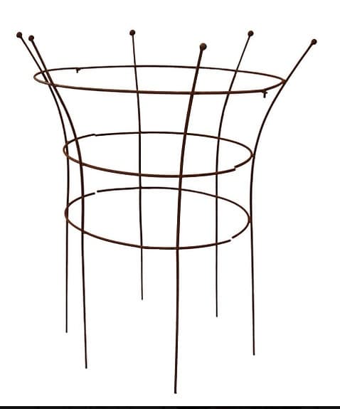 Växtstöd Pion,  från EldGarden