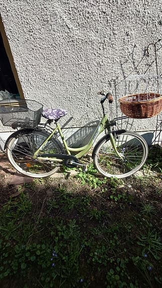 Rex Damcykel 5 växlad