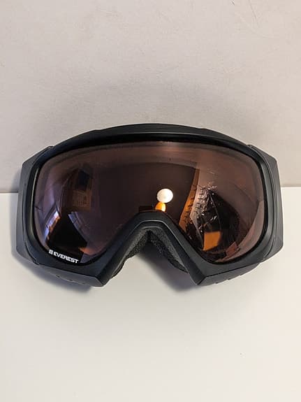 Everest Skidglasögon / Alpine Goggle