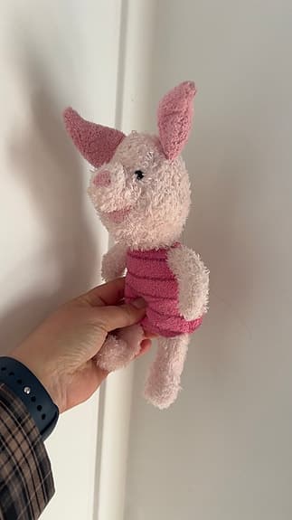 Disney gosedjur Nasse rosa