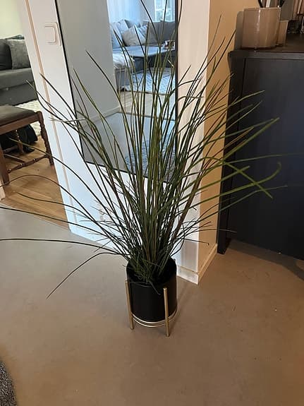 IKEA konstväxt gräs