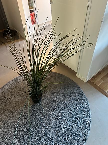 IKEA konstväxt gräs