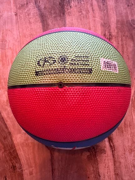 Spalding Rookie Gear basketboll flerfärgad