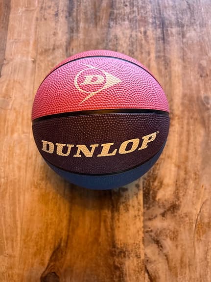 Dunlop basketboll flerfärgad
