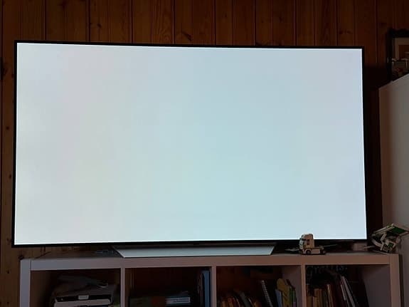 LG OLED 65” C7 – tydlig inbränning