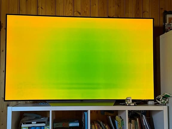 LG OLED 65” C7 – tydlig inbränning