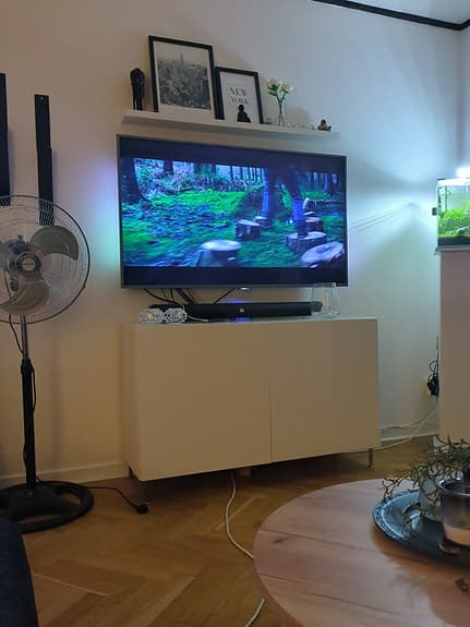 Philips 55"