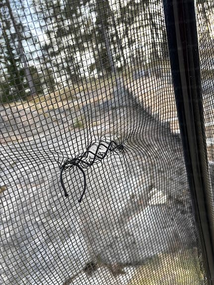 Fotbollsmål Exit 200*300 cm