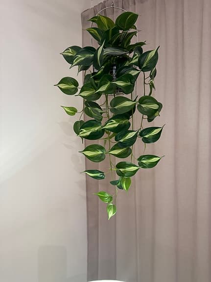 Konstväxt med kruka