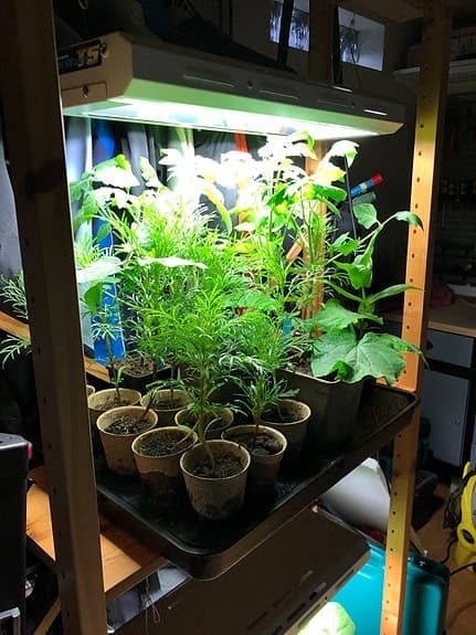 LightWave T5 växtbelysning och värmemattor